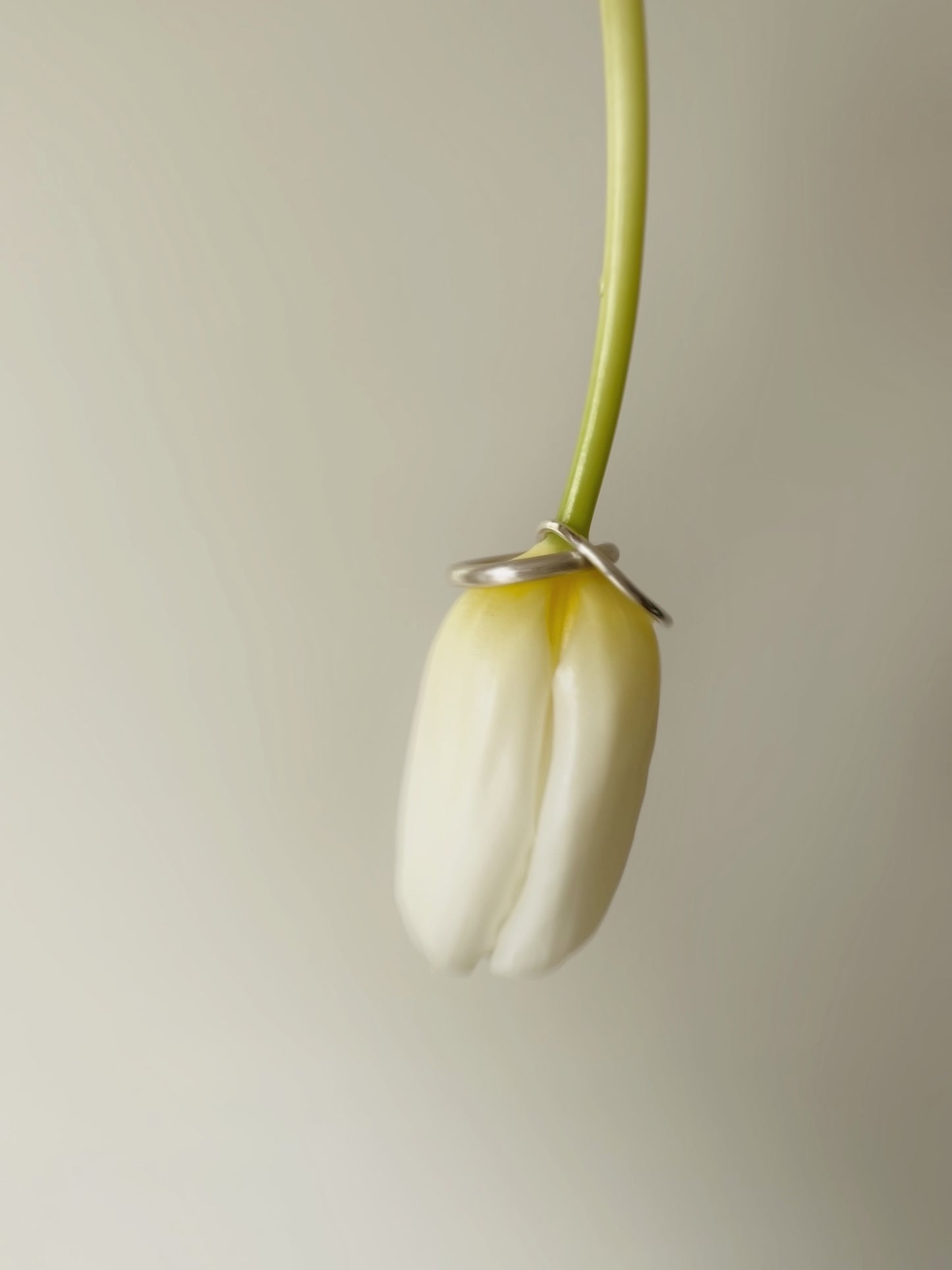 DUO RING